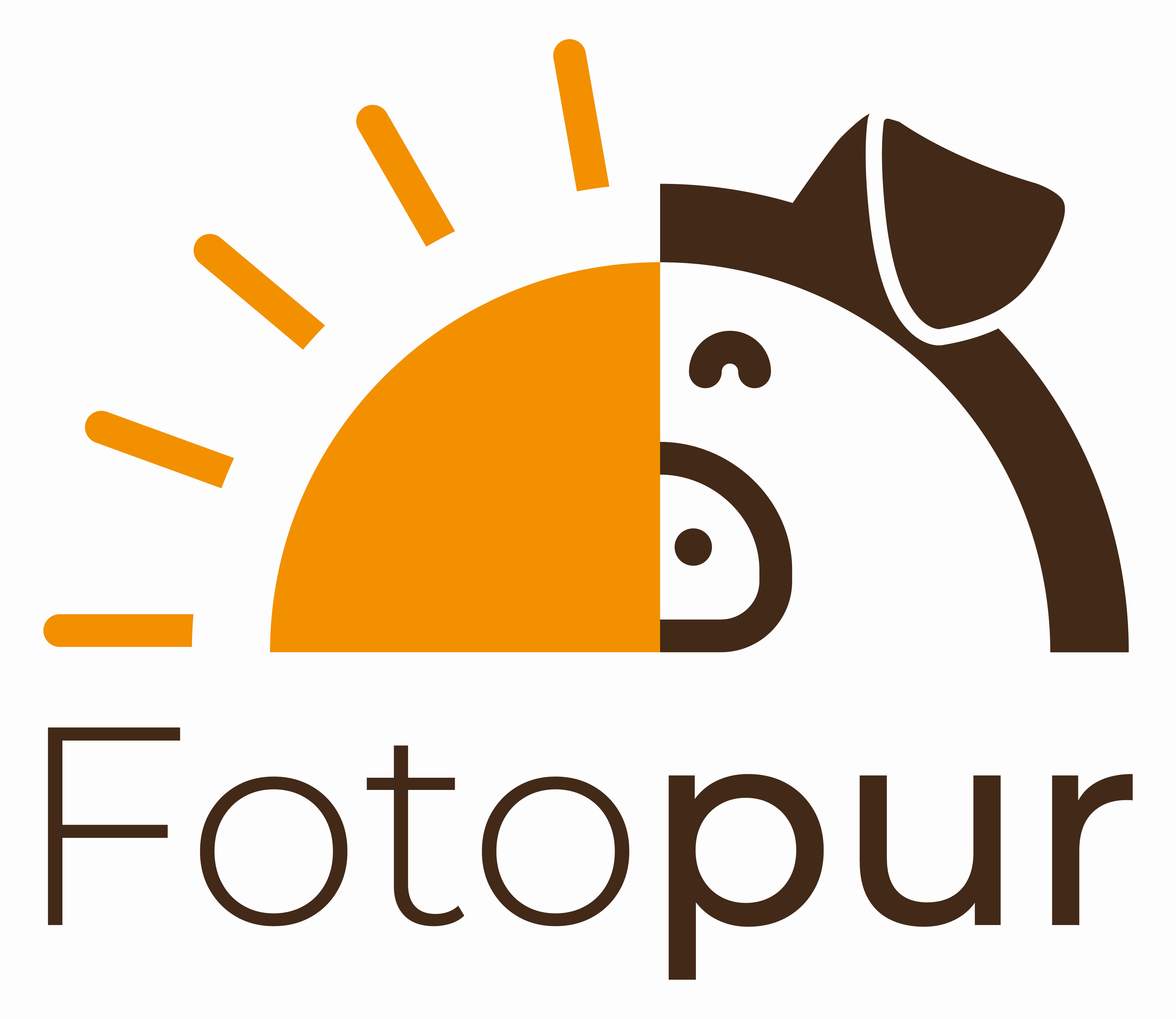 logo fotopur