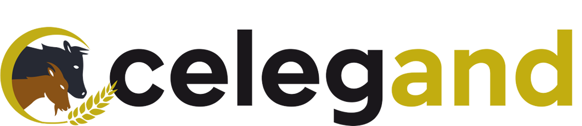 Logo GO CELEGAND