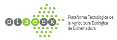 Logo PTAEEX
