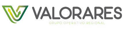 Logo GO Valorares