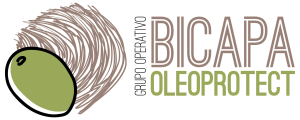 Logo GO bicapa-oleprotect