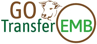 Logo GO TransferEmb