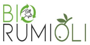 Logo GO Rumioli