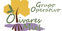 Logo GO OLIVARESDEMIEL