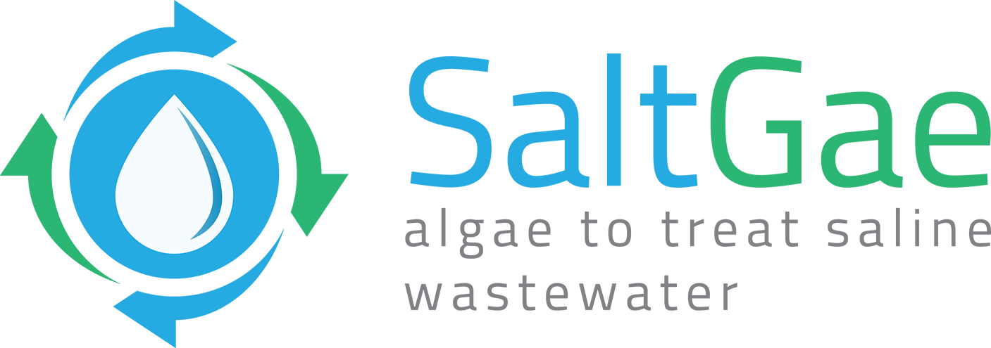 logo proyecto horizonte saltgae