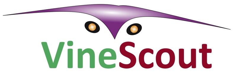 logo proyectos horizonte vinescout