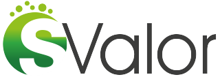 Logo GO SValor