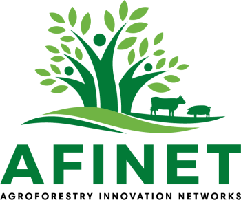 Logo AFINET