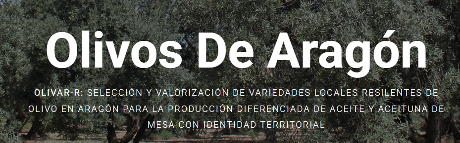 Logo Olivar-R