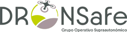 logo dronsafe