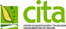 cita aragon
